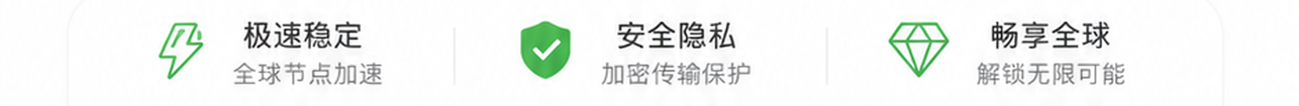 极速稳定 安全隐私 畅享全球